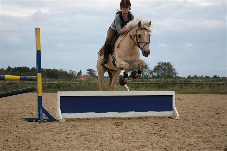 Anden særlig race Coka - GAMMEL PART - :-)<3 billede 17