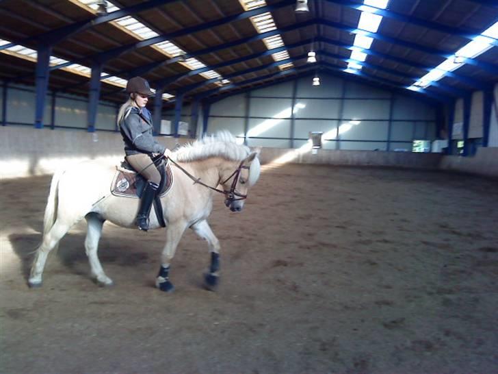 Anden særlig race Coka - GAMMEL PART - taget af amalie (: <3 billede 18