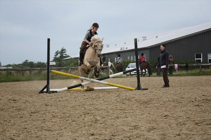 Anden særlig race Coka - GAMMEL PART - Spring undervisning :-) billede 19