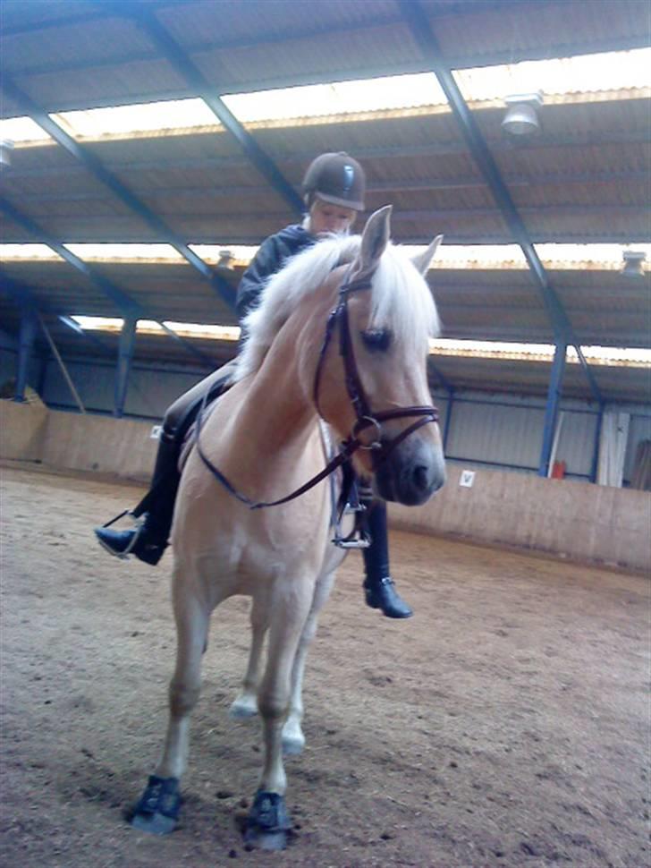 Anden særlig race Coka - GAMMEL PART - (: <3 billede 20