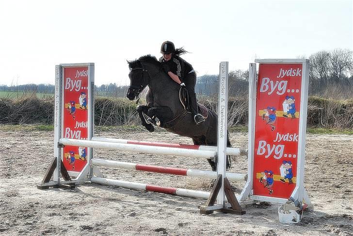 Anden særlig race Bella-Girl. *SOLGT* - Første gang udenfor  i 2010 :) billede 6