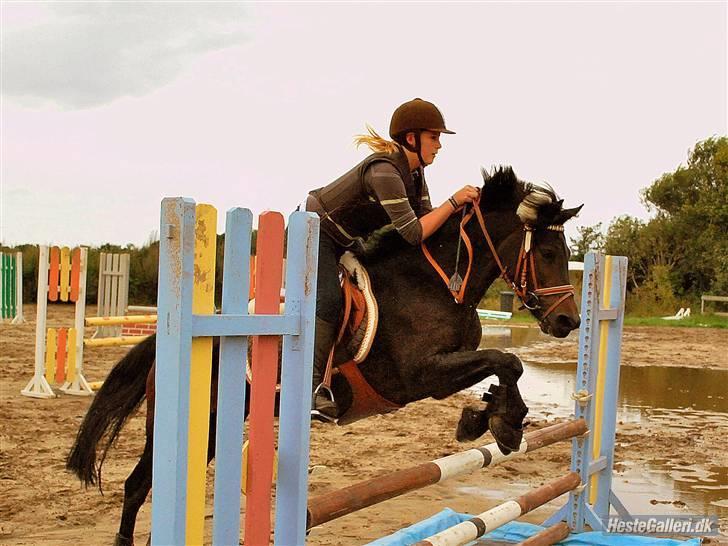 Anden særlig race Bella-Girl. *SOLGT* - spring <3 billede 10