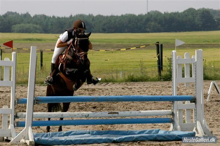 Anden særlig race Bella-Girl. *SOLGT* billede 13