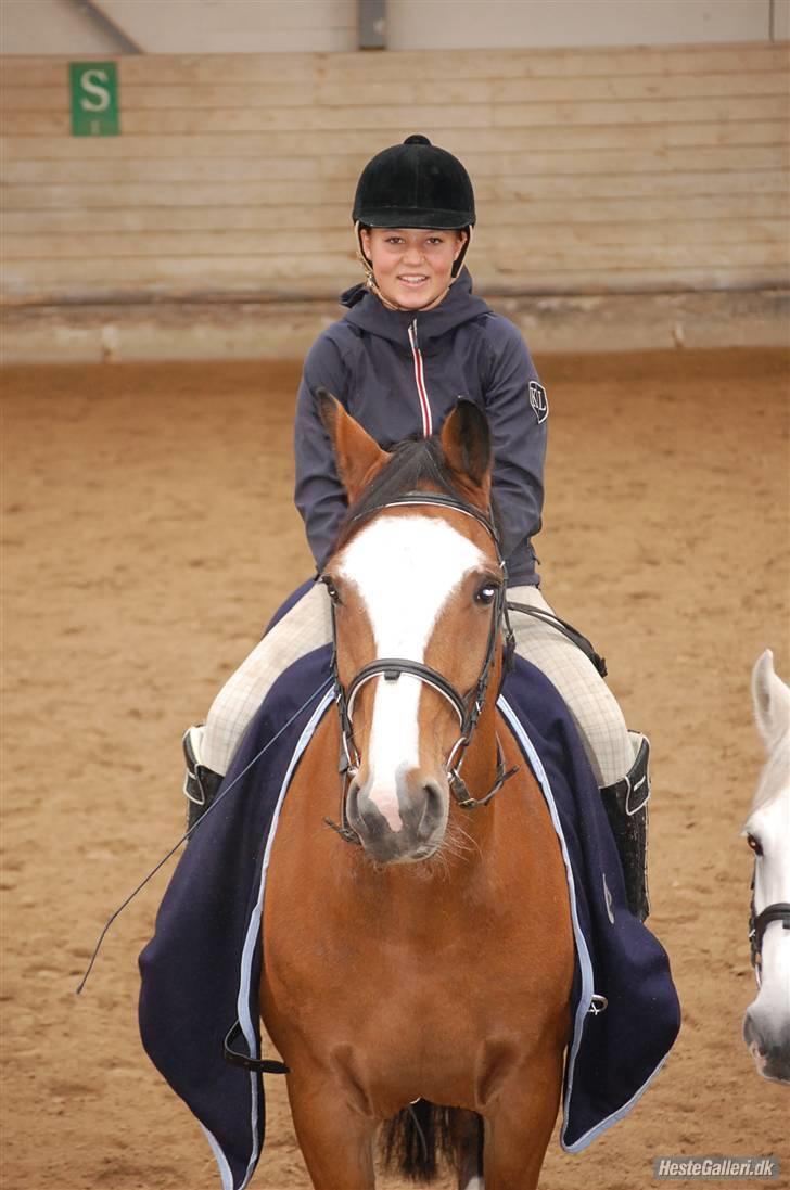 Holstener Diamant   - søøde flomme.. foto maria billede 15