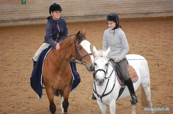 Holstener Diamant   - min nye hest, og min gamle pony coda <3 foto maria billede 16