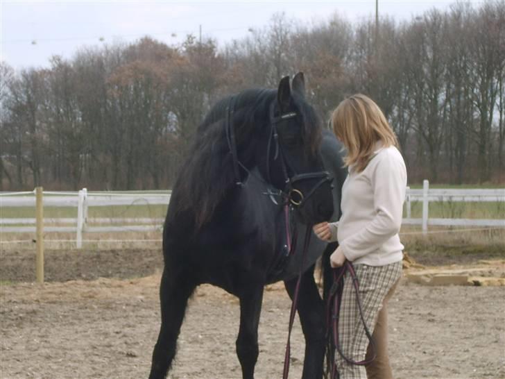 Frieser Willemientje Von De - Hygge, lige da jeg havde fået hende hjem marts 2009 billede 5