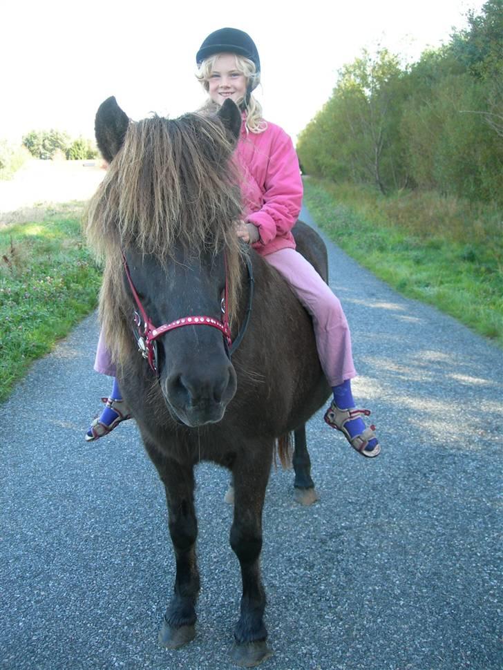 Islænder Væna Frekja fra Tindbæk - Væna og min datter på 10 år hygger sig på tur  :o) billede 1