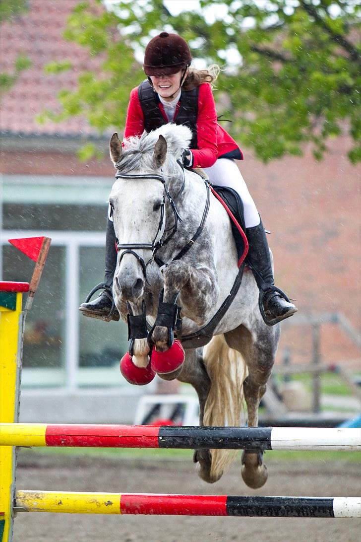 Anden særlig race Loughnatousa Inksy - NSPR LA** billede 10