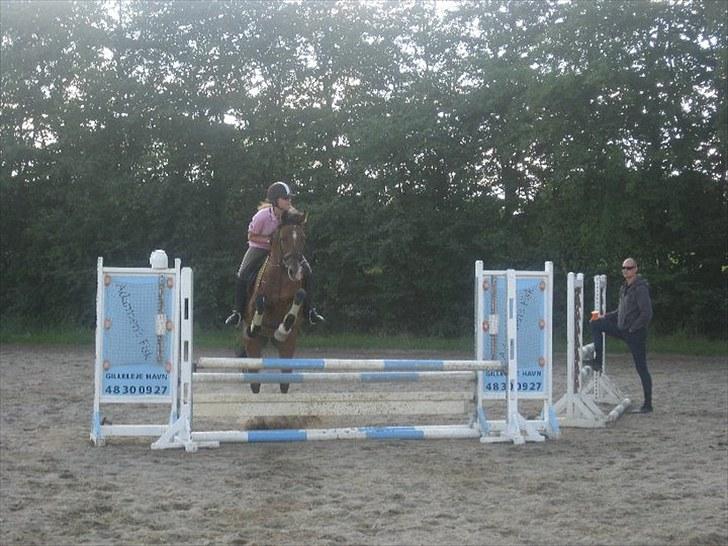 Holstener Zitano - Undervisning 1/9 - Taget af Line Rosenstand billede 1