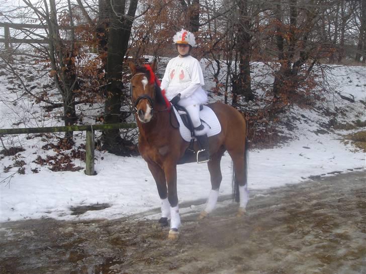 Holstener Zitano - Til fastelavnsstævne på HRK (2009). Vi var klædt ud som høns, selvom det måske er svært at se. billede 2