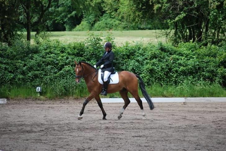 Holstener Zitano - TIl klubmesteskab på HRK ´09. LC3 på udendørsbanen billede 3