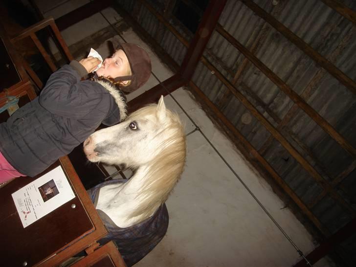 Anden særlig race thor billede 16