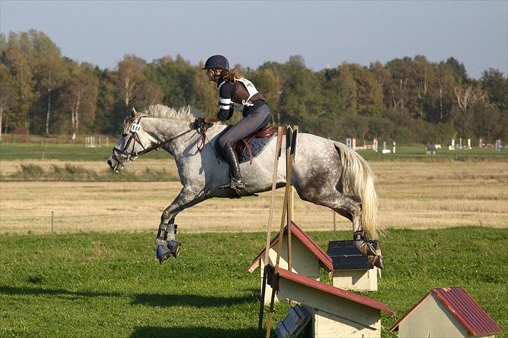 Anden særlig race Loughnatousa Inksy - Military søborggård CNC90 billede 12