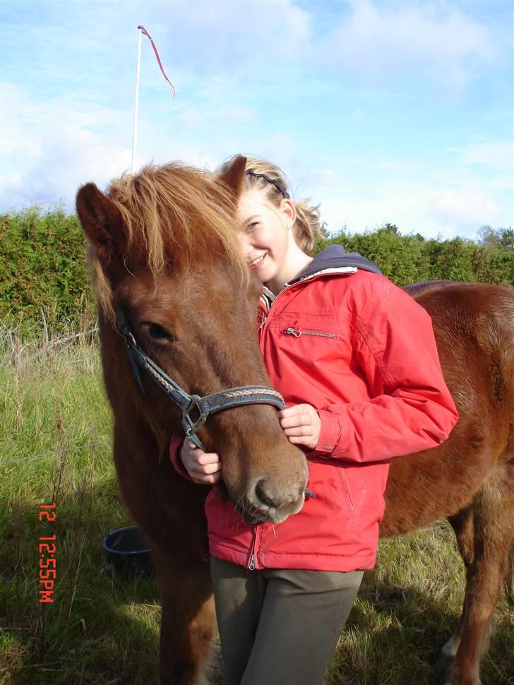 Islænder Vignir  - Emma og Vignir <3 billede 10