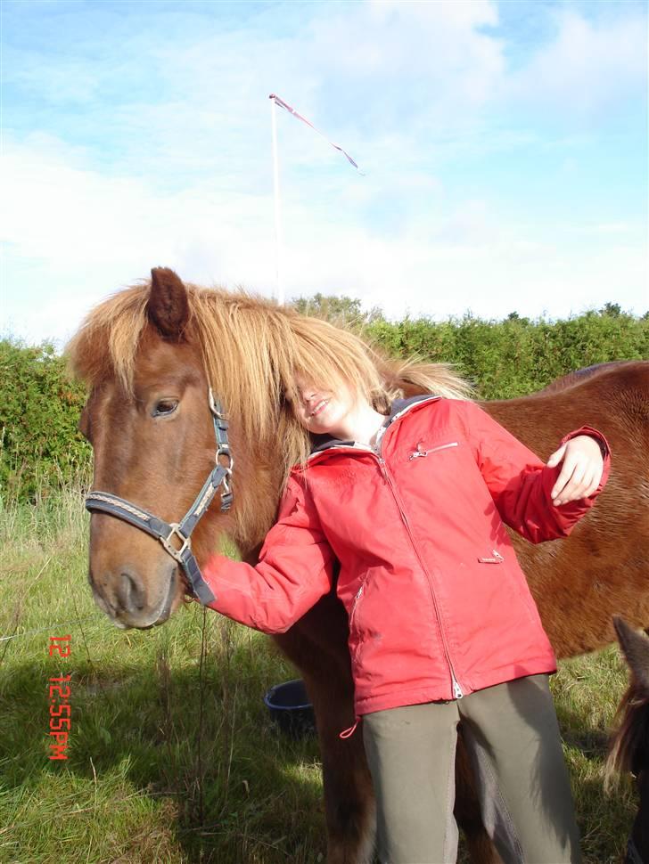 Islænder Vignir  - Emma under Vignirs kæmpe man ! :P billede 15