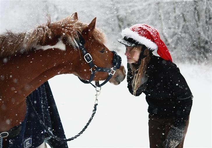 Pinto Indy Girl *solgt* - 6* Mig og tykke der sakl til at kysse<3 Foto: sissel Nyholm<3 billede 6