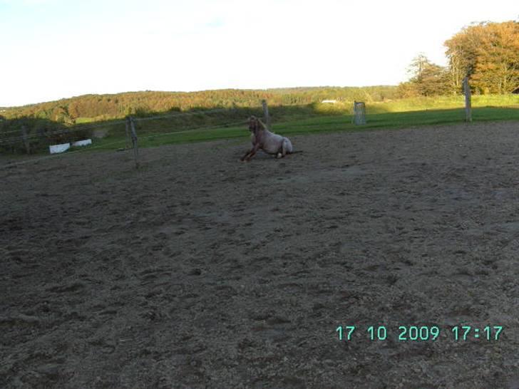 Anden særlig race Flika - det klør :P :P <3 billede 2