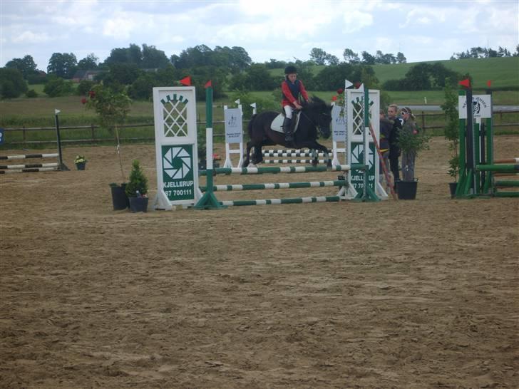 Dartmoor felixgårds sascha billede 2