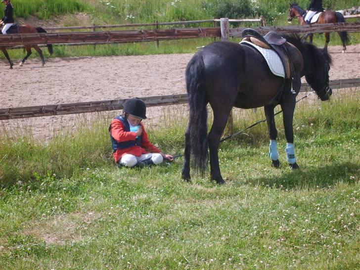 Dartmoor felixgårds sascha - pause.. tid til noget kold billede 3