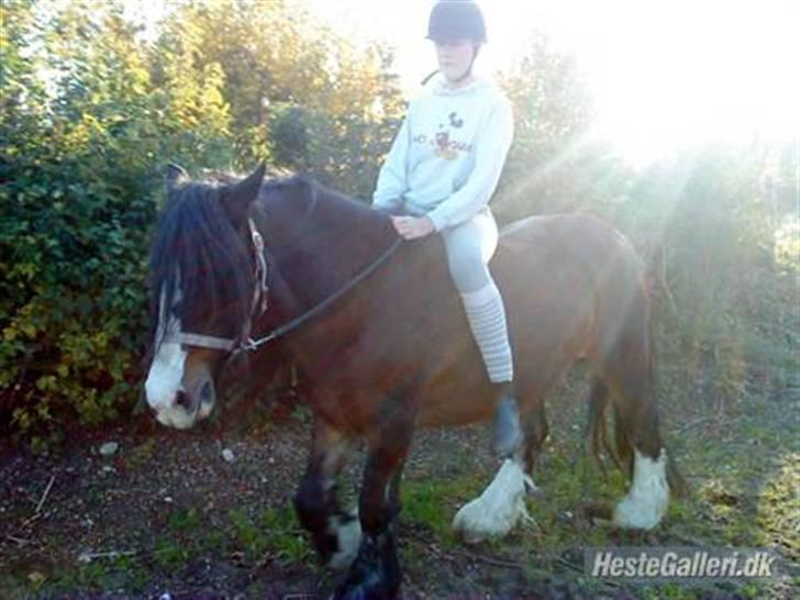 Tinker Holms Skye dancer -tideliger passer- - Her rider vi hyggeskridtning :D billede 3