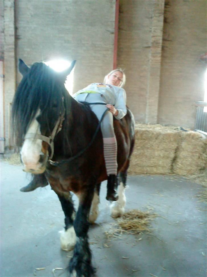 Tinker Holms Skye dancer -tideliger passer- - Arhh lige en slapper.. billede 7