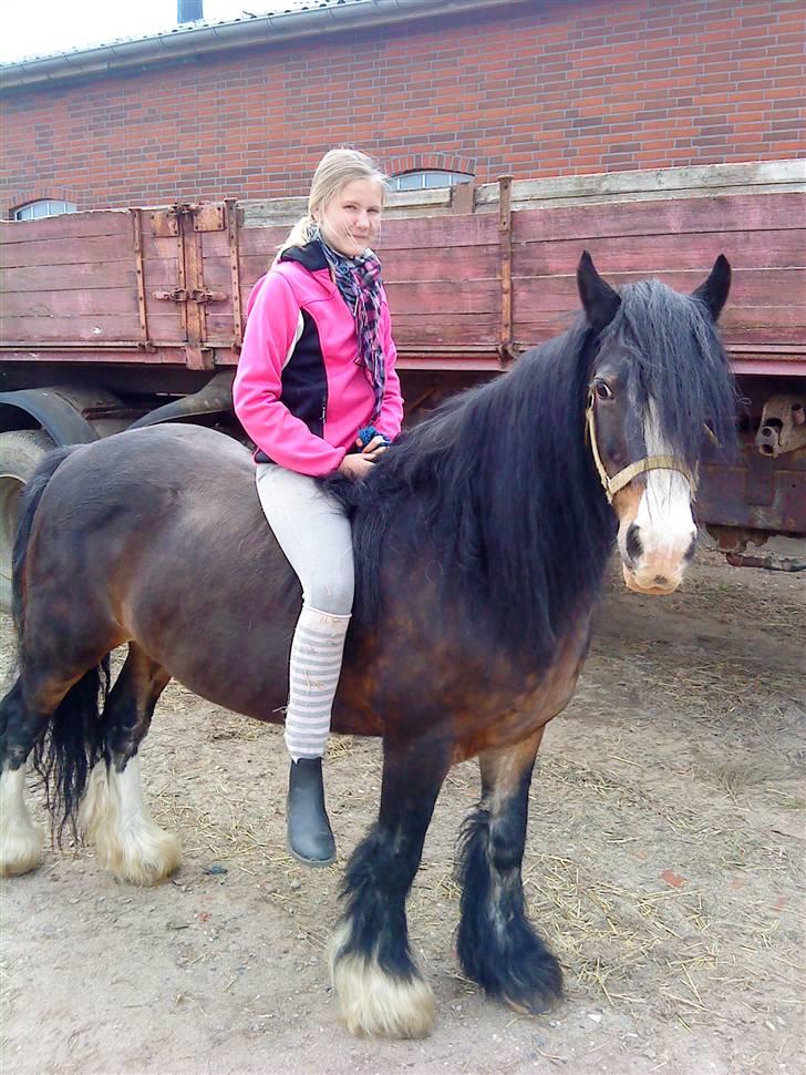 Tinker Holms Skye dancer -tideliger passer- - Første gang på hende.. billede 9