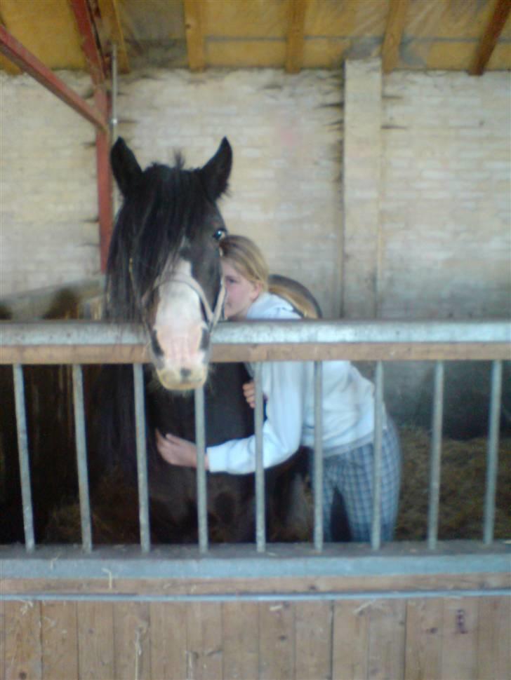 Tinker Holms Skye dancer -tideliger passer- - Hygge i boksen <3 billede 15