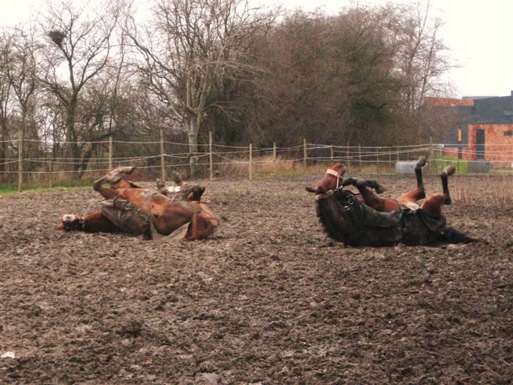 Oldenborg Mon Cherie - Fold med Max efterår 09 billede 18