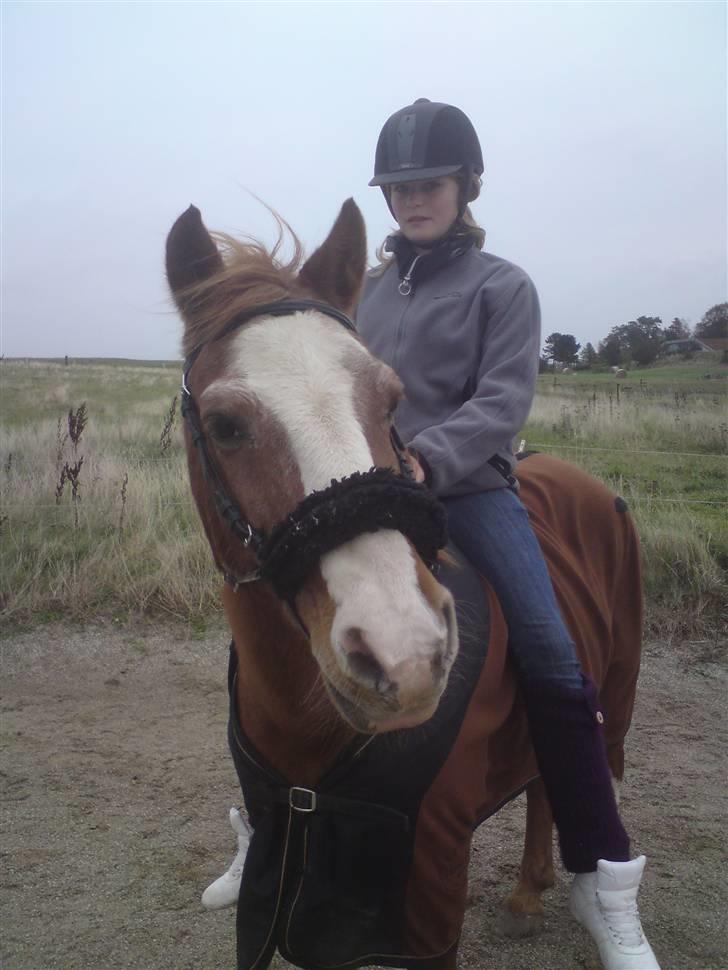 Anden særlig race Mazda - hei mazda <3 foto: Olivia billede 8