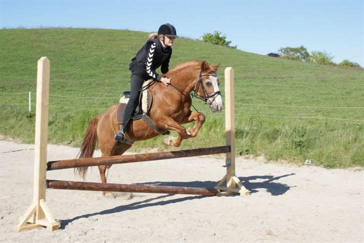 Anden særlig race Mazda - Olivia springer på mazda :p foto: trine bomholdt (ejer af mazda) billede 13