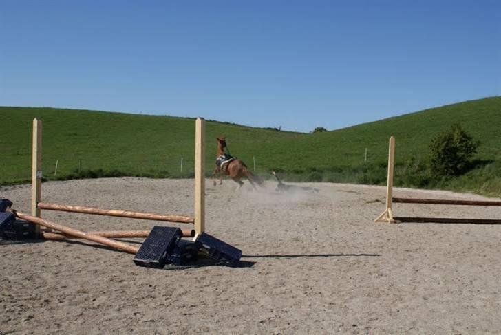 Anden særlig race Mazda - CRASH på mazda xD Olivia styrter foto: trine bomholdt (ejer af mazda) billede 14