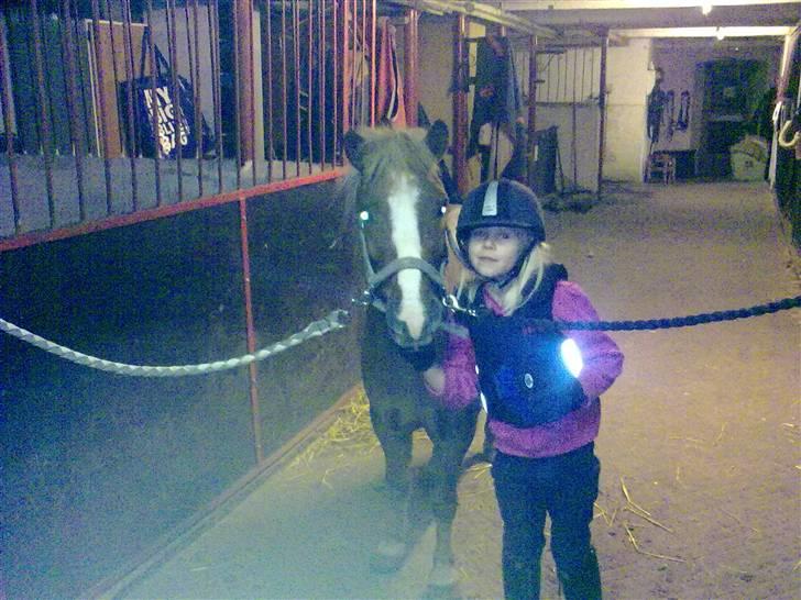 Anden særlig race Speedy´s Laban  billede 1