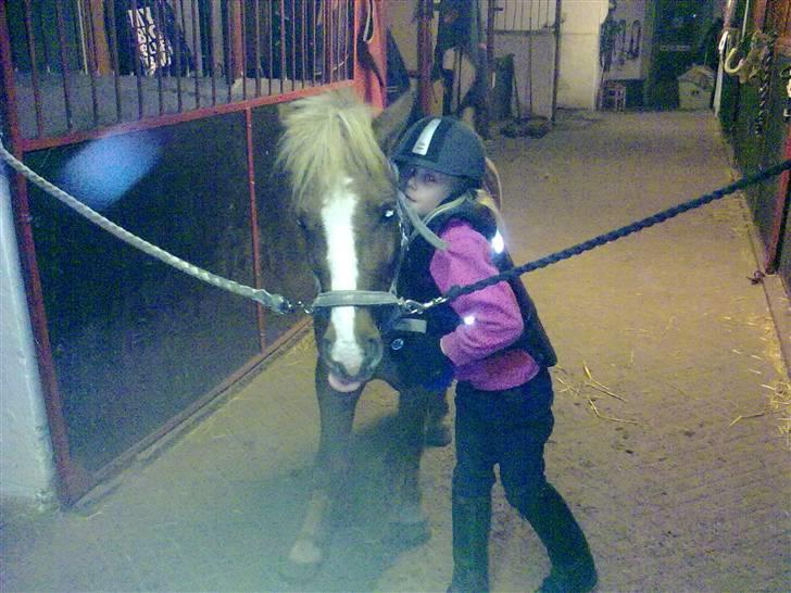 Anden særlig race Speedy´s Laban  billede 2