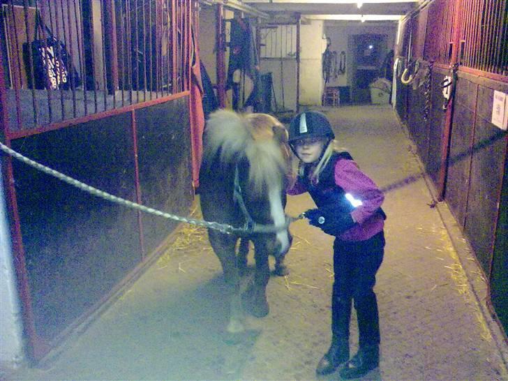 Anden særlig race Speedy´s Laban  billede 3