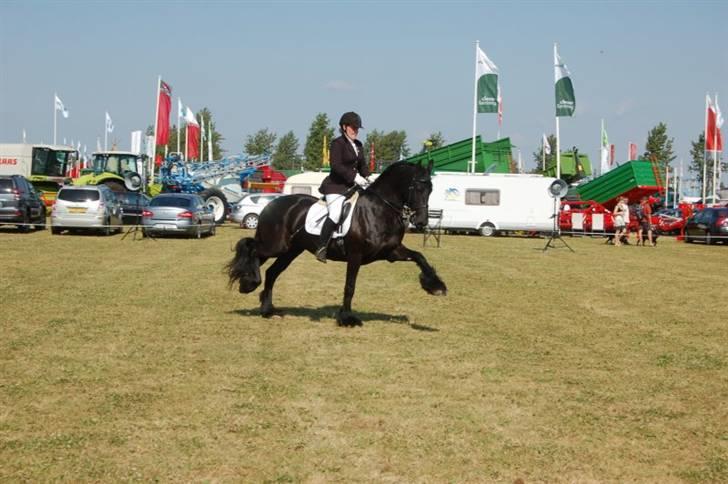 Frieser Wieske billede 19