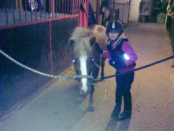 Anden særlig race Speedy´s Laban  billede 5