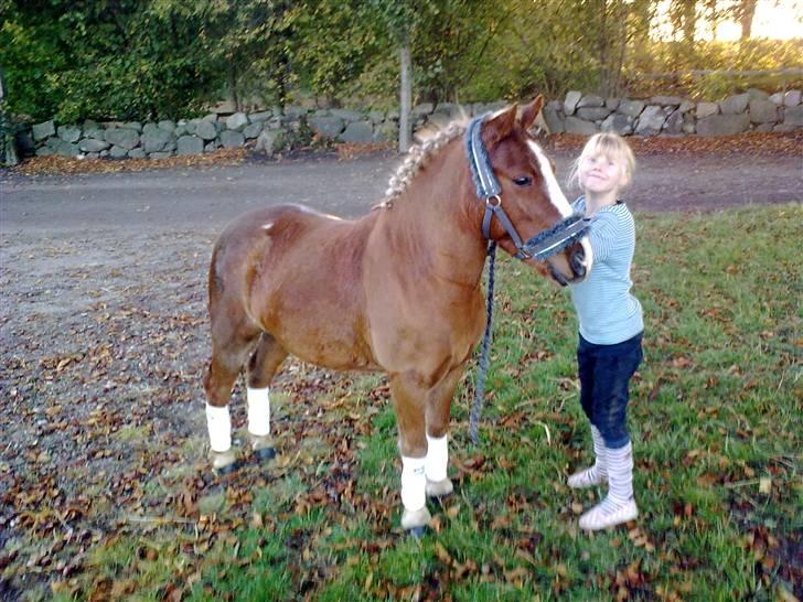 Anden særlig race Speedy´s Laban  billede 15