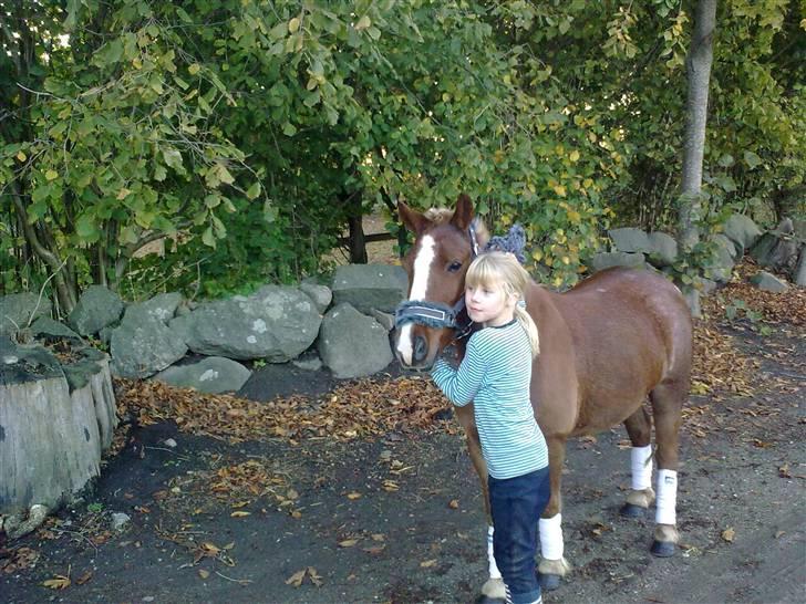 Anden særlig race Speedy´s Laban  billede 16