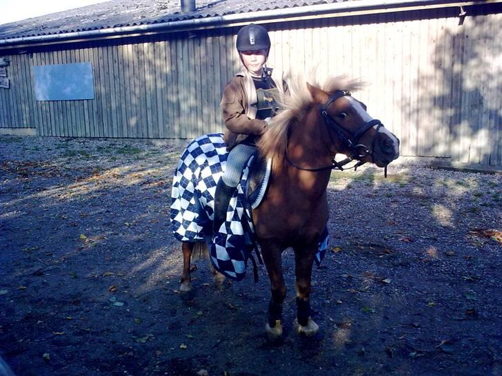 Anden særlig race Speedy´s Laban  billede 19