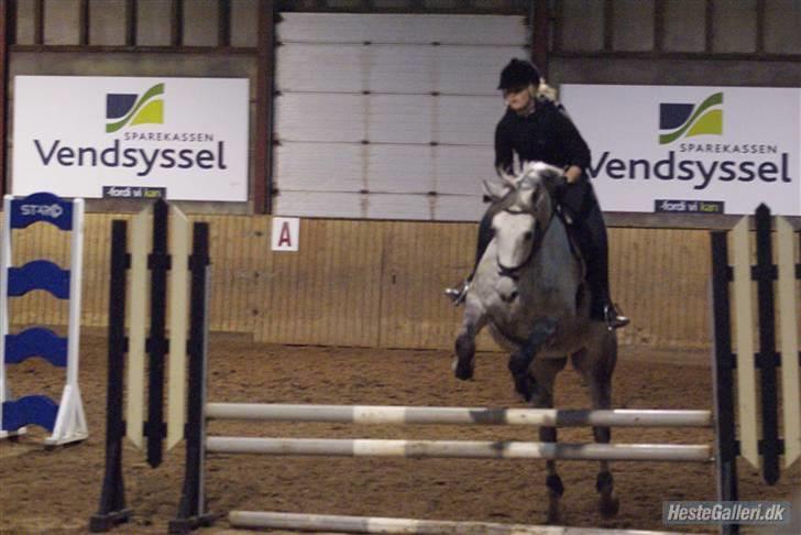 Anden særlig race Sandro.<3 - springtræning 21 oktober.<3 /foto-MB/ billede 11
