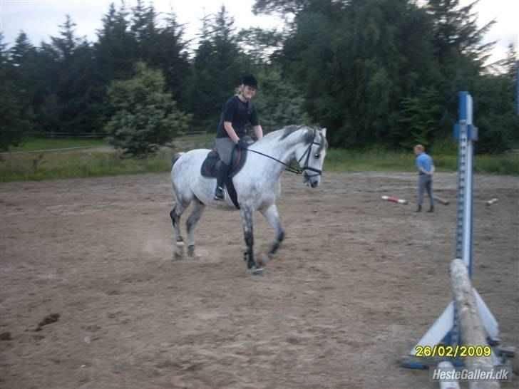 Anden særlig race Sandro.<3 - springtræning.<3 foto: nicholine.<3 billede 12