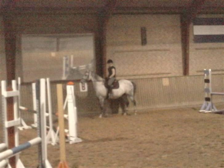 Anden særlig race Sandro.<3 - til noget træning for noget tid siden.<3 billede 13