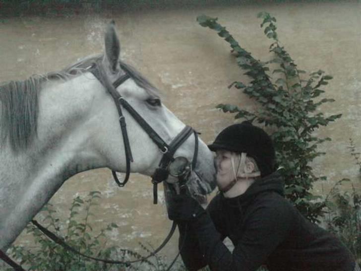 Anden særlig race Sandro.<3 - han savlede mig i hovedet. xD <3 billede 15