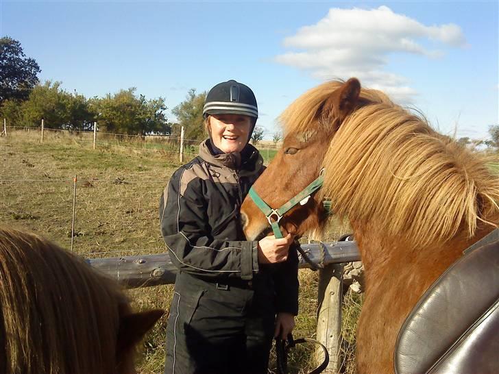 Islænder Tói fra Hem billede 20