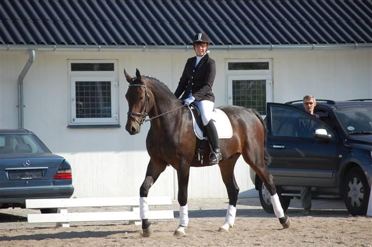 Oldenborg Orion Kikmose - sommer 2009 billede 5
