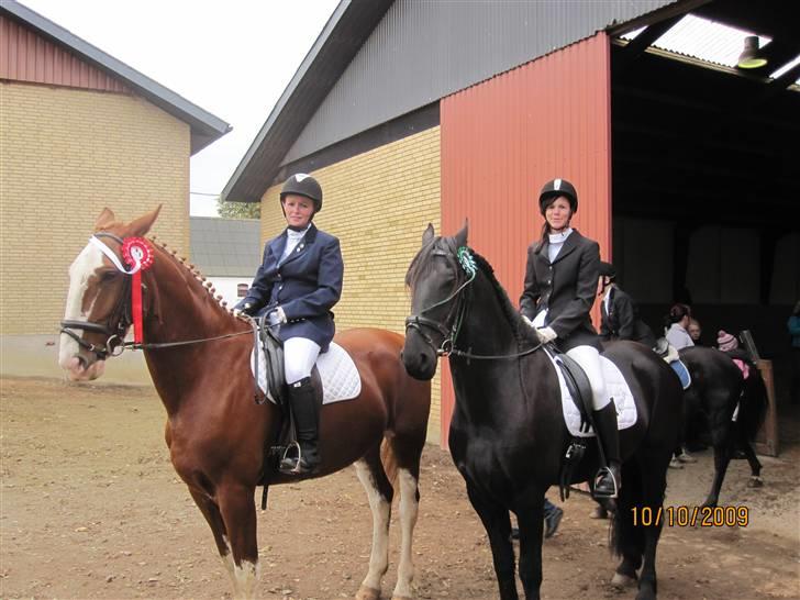 Frieser Søndergaards Kenai - 10.10.09 Sjølund 
2. plads LC1 billede 7