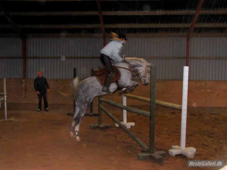 Anden særlig race Aladin *tidl lånepony. - springtræning :) cirkus 110  billede 18