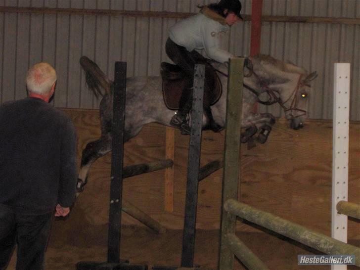 Anden særlig race Aladin *tidl lånepony. - træning :P billede 19