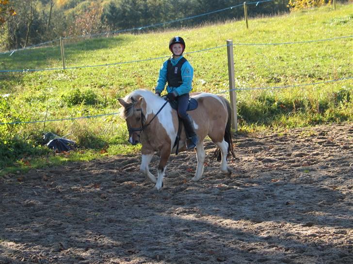 Anden særlig race ••((¯`» Beauty «´¯))•• billede 19