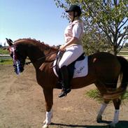 Anden særlig race Rokko